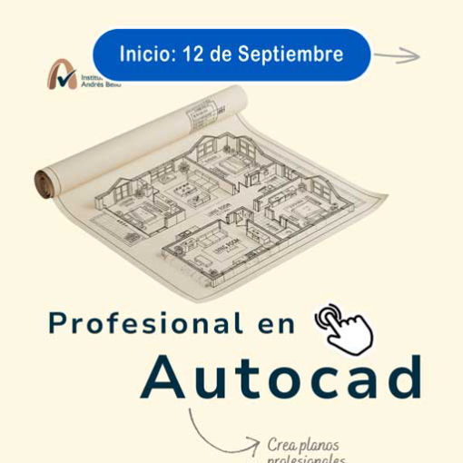 Curso Profesional Autocad - IFAB Barinas